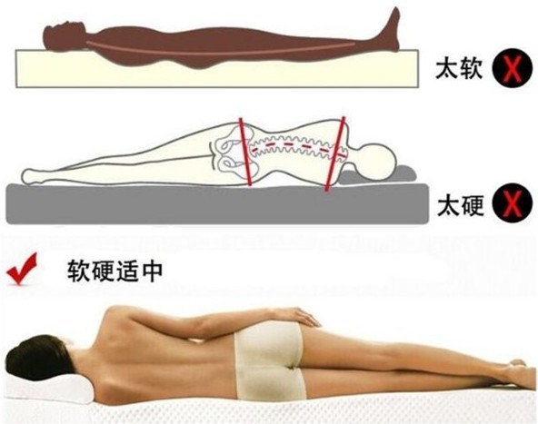 香蕉成人视频