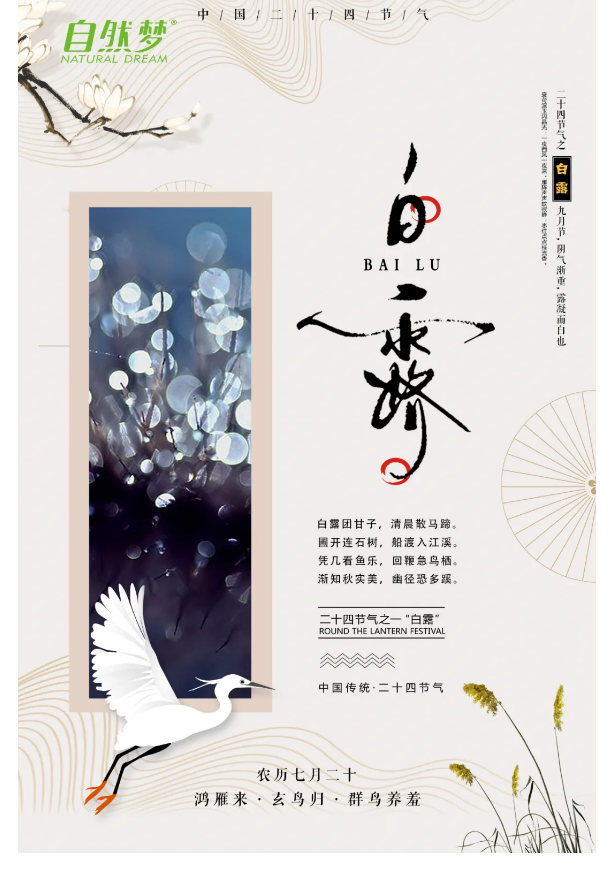 香蕉成人视频床墊